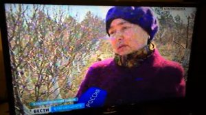 с. Грибское, Благовещенский район , Амурская область