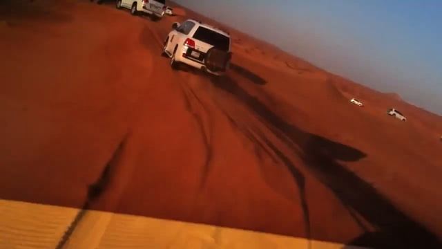 Сафари по пустне смотреть онлайн