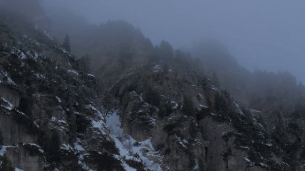 4K Raw & Windy - Snow Blizzard & Wind Sounds - Winter Nature Video - Relax  Sleep  Study - Ultra HD