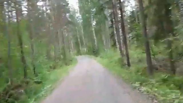 На даче//Собираем ягоды!# смотреть онлайн