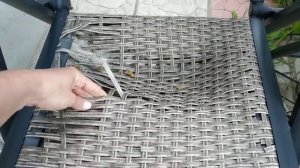 Ремонт стула из ротанга с алюминиевым каркасом.