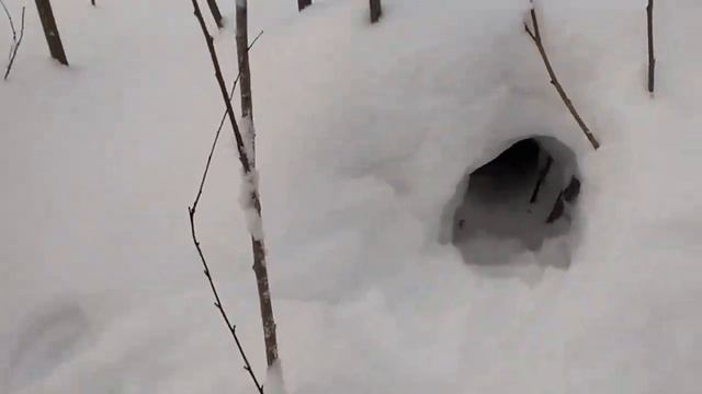 VIDEO0062 смотреть онлайн