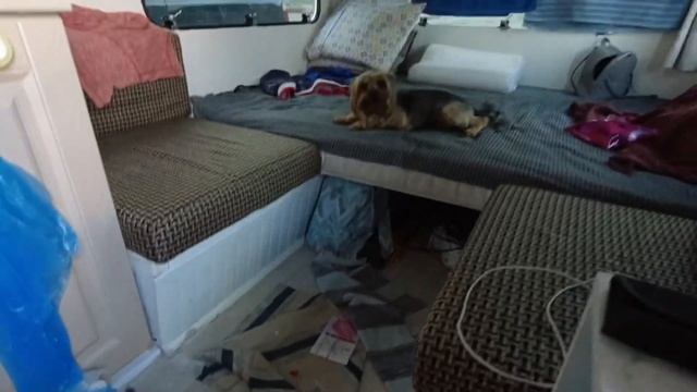 Самый дорогой кемпинг в Лермонтово, что мы нашли. Цена за сутки выросла почти вдвое