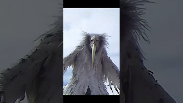 (FREE) Opium Bird Type Beat - X