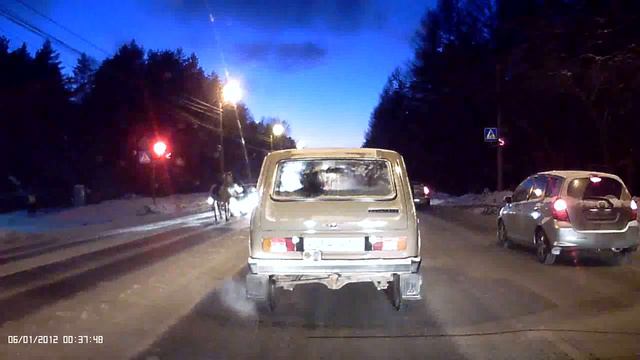 В Челябинске выбежавшая на дорогу лошадь протаранила автомобиль смотреть онлайн
