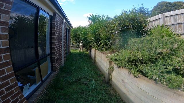 Tiny yard that didn't stop us mowing this tall grass. Tall grass mowing that is oddly satisfying смотреть онлайн