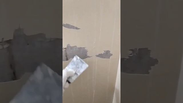 Строительный Тренд