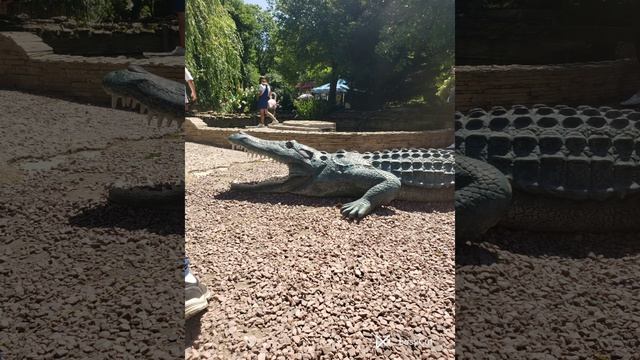 фотографией животных смотреть онлайн