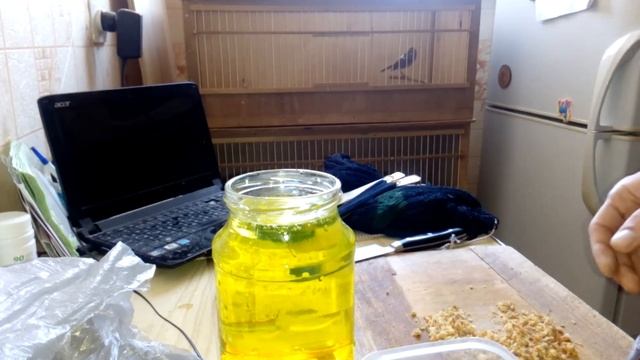 Мягкий корм. ( Соловей красношейка). смотреть онлайн