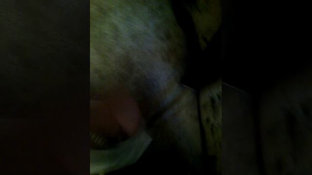 Распаковка наушников ( через голову)купил в дна за 999 рублей дешовка но качество отличное смотреть онлайн