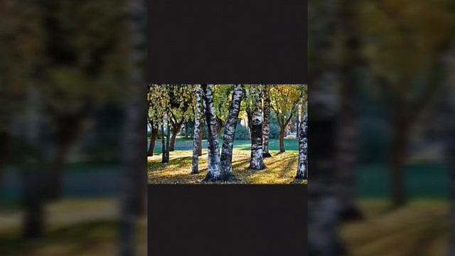 «Хюррем » ой люлi люлi смотреть онлайн