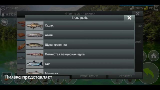 ЩУКА ТРАВЯНКА ловим на разных картах #MyFishingworld смотреть онлайн