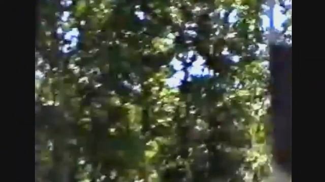 Лениногорск. Риддер. Ностальгия. смотреть онлайн