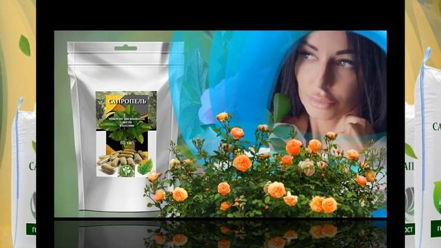 Органические удобрения Ойкос от Центра по сапропелю смотреть онлайн