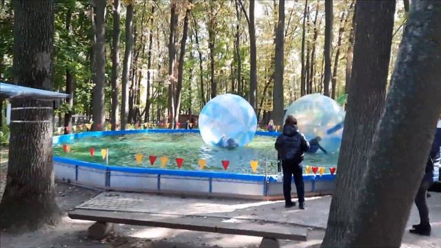 БАЛ ХРИЗАНТЕМ В ПАРКЕ ФЕЛЬДМАНА смотреть онлайн