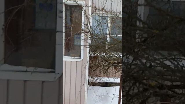 продажа квартиры Гатчина смотреть онлайн