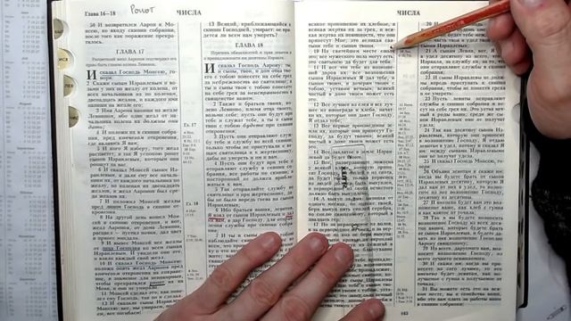 16 | Числа 17-18-я главы І Расцветший жезл Аарона и обязанности Левитов смотреть онлайн