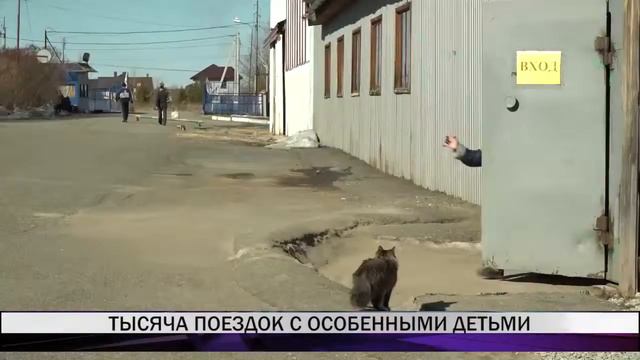 Тысяча поездок с особенными детьми смотреть онлайн