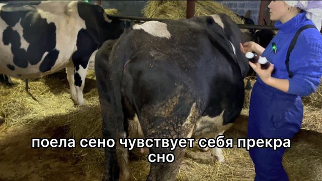 СБЫТ ПРОДУКЦИИ И ПРОФИЛАКТИКА АЦИДОЗА смотреть онлайн