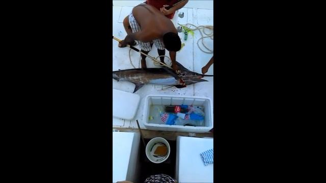 Fishing in the Dominican Republic. Blue Marlin 110 lb. ( Голубой марлин на 50 кг ). смотреть онлайн