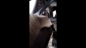 Как поменять и запрессовать переднюю ступицу форд фокус 2