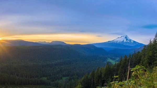 Music for Calm Dreams, Relaxation and Sleep, Healing Music, Dream Relaxing, Peaceful Dreaming ★10