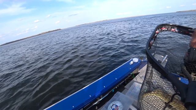 Приключения компании Fishmaster под Волгоградом. Тест Relax Dictator на большой воде.