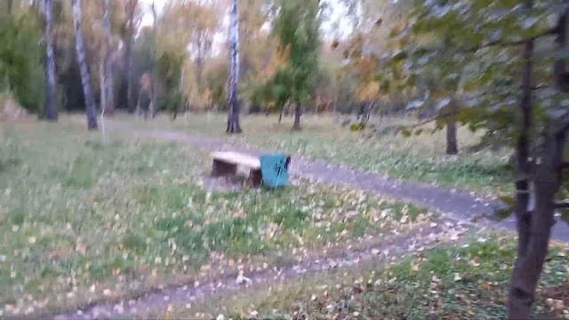 Берёзовая роща,Новосибирск 7 октября смотреть онлайн