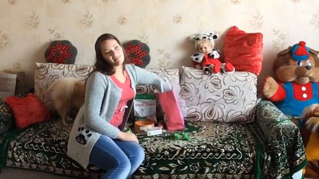 День Рождения Тедди! Подарки/ покупки из зоомагазина / ваши поздрваления смотреть онлайн