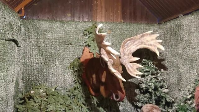 Поющий лось смотреть онлайн