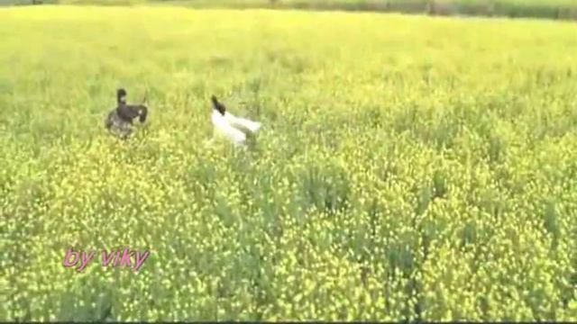 Shahrukh & Kajol ~Я думаю о тебе.