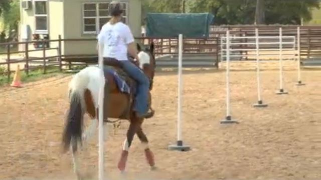 Equestrian Speed Training: Pole Bending смотреть онлайн
