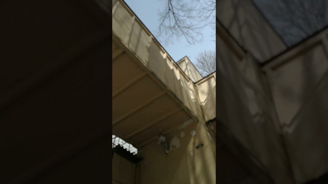 Шахматно-шашечный клуб в парке сокольники известный, как краснодарский домик. смотреть онлайн