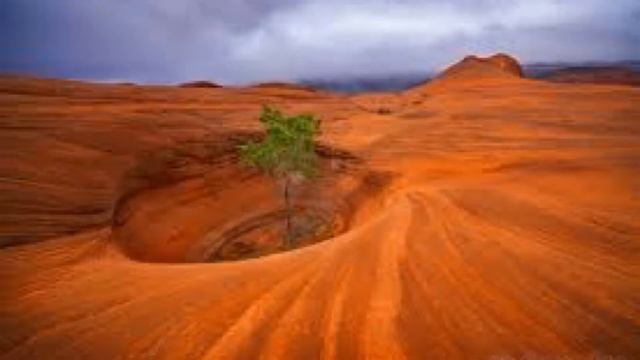 МЕДИТАЦИЯ ДЛЯ СПОКОЙНОЙ БЕРЕМЕННОСТИ смотреть онлайн