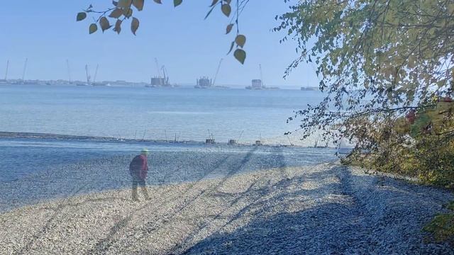Техногенщина. Берег возле Климовки. Лесная борзота. смотреть онлайн