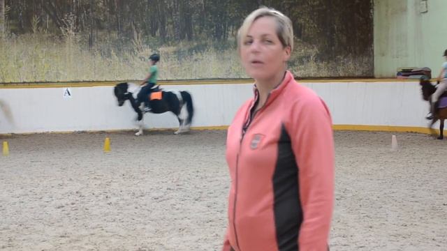 Пониклуб БИТЦА. Пони тоже кони!