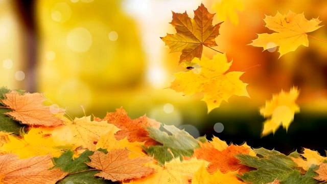 М Чюрлёнис Осень смотреть онлайн