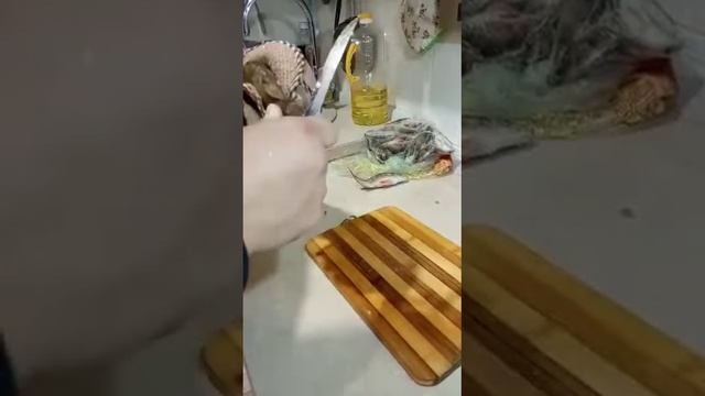 Как быстро почистить окуня смотреть онлайн