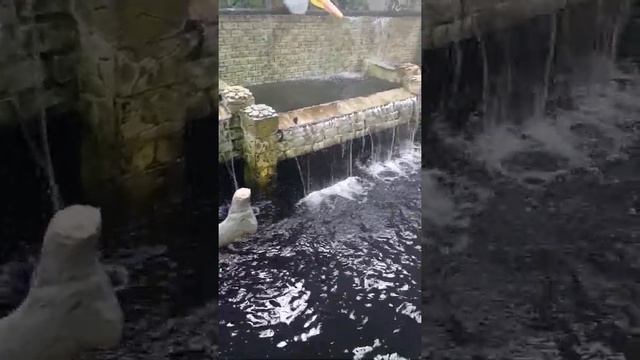 Парк Бабочек ? смотреть онлайн