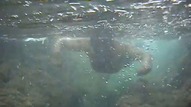 Через пиратский тоннель на мысе Ува смотреть онлайн