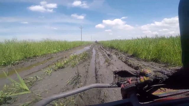 Квадросафари РнД 14-06-2021 смотреть онлайн