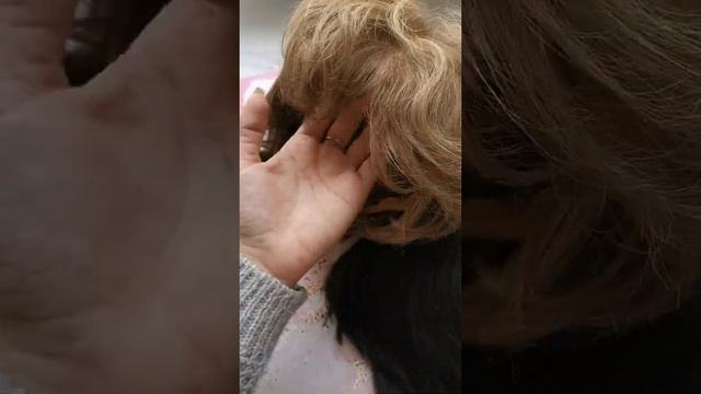 Короткие парички из натуральных волос стрижки моно смотреть онлайн