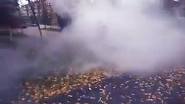 Ежик в тумане - 2 смотреть онлайн