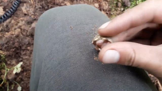 Перстень мертвая голова НЕОЖИДАННО !Интересный выезд # 8 ! 2019 года!! смотреть онлайн