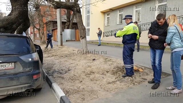 Дерево упало на автомобиль в Туле