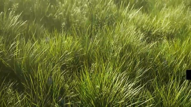 Botaniq 6.7 Tree Library Addon for Blender смотреть онлайн