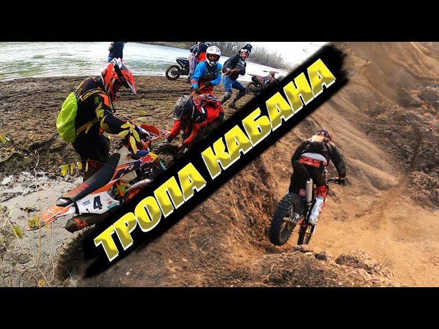 ТРОПА КАБАНА - НЕТ ПУТИ НАЗАД 2.0 смотреть онлайн