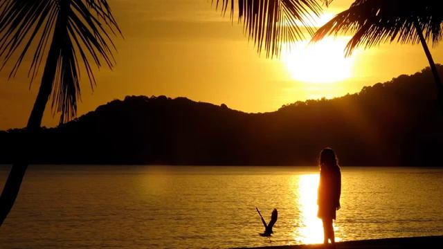 Henry Marshall Sat Patim Dehi смотреть онлайн