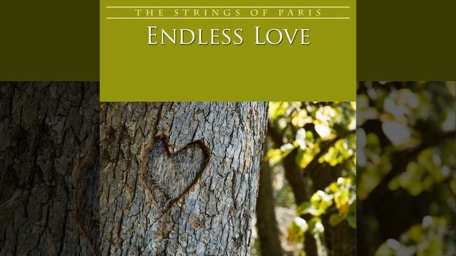 Petite Fleur смотреть онлайн