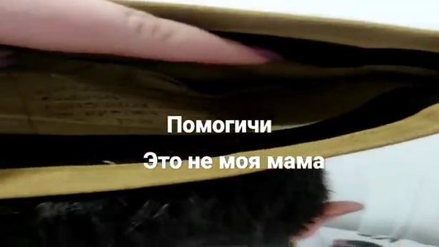 27 января 2023 г. смотреть онлайн